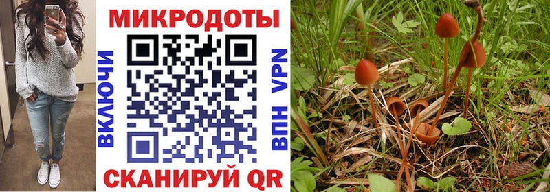 закладки  Горно-Алтайск  Галлюциногенные грибы ЛСД 